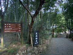 -东林大峡谷