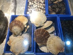 超级大扇贝蒸粉丝-廣味潮鲜·一品潮滋味(五道口店)