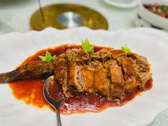 -丁老爷子苏香圆