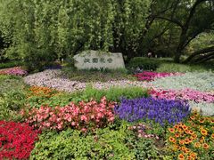 -海淀公园