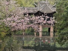 -三苏祠