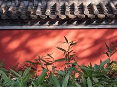-国家植物园
