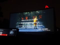 -枫花园汽车电影院(朝阳公园店)