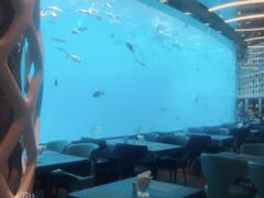 大堂-瑞德姆美人鱼海底演艺主题餐厅(亚龙湾店)