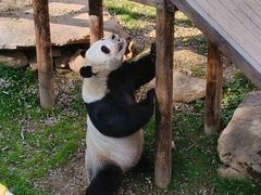 -栾川竹海野生动物园