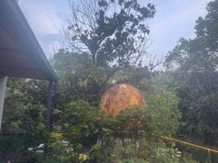 -恬阿姨庭院餐厅·生日宴