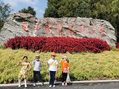 -东平国家森林公园