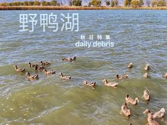 -野鸭湖国家湿地公园