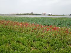 -万源龙顺度假庄园生态观光园