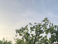 -宫事颐庭·老佛爷贵寿下午茶(颐和园店)