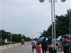 -日照海滨国家森林公园