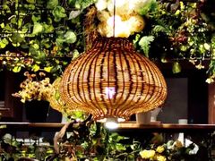 -芭缇沁园椰子鸡(中航紫金新天地店)