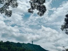 -深圳市中科院仙湖植物园