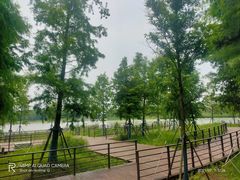 -南汇新城城市公园