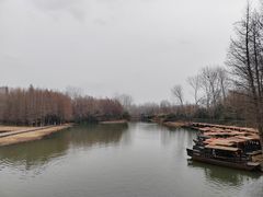 -溱湖国家湿地公园