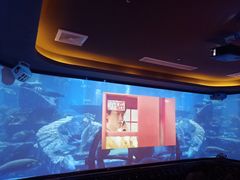 -M-SHOW 米秀主题KTV(左岸印巷店)