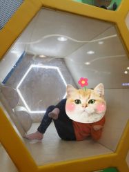-多多淘儿童体验中心(重庆来福士店)