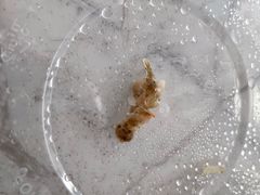 -味莊茶餐厅(阳明国际店)