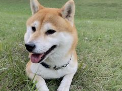 -云岗森林公园