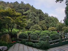 -十八棵（老龙井）御茶园(老龙井店)