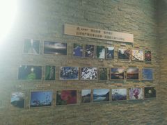 -远洋未来广场(育慧北路店)