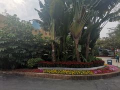 -炮台山公园