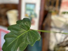 -109 COFFEE(建筑学院店)