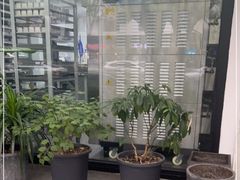大堂-Miette制菓所