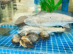 -富临港·蒸汽海鲜·手抓海鲜·炒菜(栈桥店)