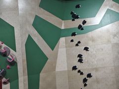 -成都大松果马达攀岩馆(金石店)