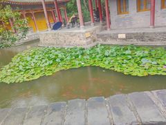 -华清宫景区