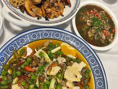 火爆双脆-新蜀会四川豆花(五羊店)