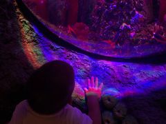 -沈阳海洋探索中心