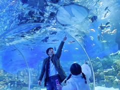 -顺德南宏海立方海洋公园
