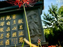 -西安大兴善寺