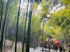 -天目湖山水园