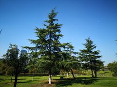 景点-白塘生态植物园