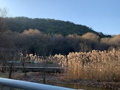 -西湖风景区-江洋畈生态公园
