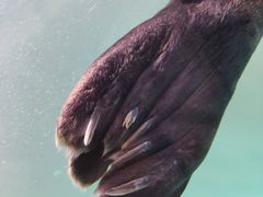 -青岛海底世界-水族馆
