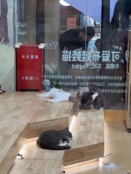 -小象动悟公园(龙湖亦庄天街店)