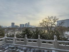 -西海子公园