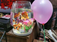 -掌柜的店·河南菜(新天地店)