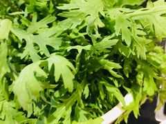 -绿达涮府(重庆路店)