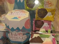 -富士山吉田線五合目