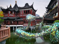 -老桐椿 · 上海大馄饨