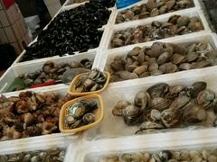 -西归浦每天偶来市场