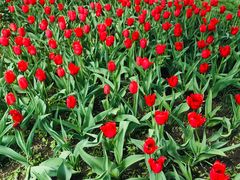 -长春公园(普阳街道)