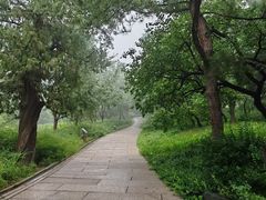 -香山公园