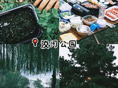 -洨河生态公园