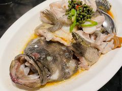 青花椒蒸龙胆鱼-闽和南(深圳万象城店)